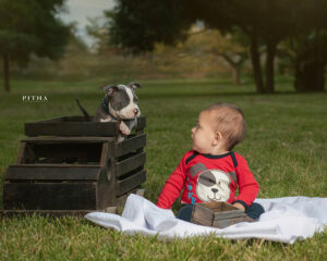 foto bebe con cachorro